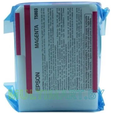Картридж Epson C13T580300 картинка 2